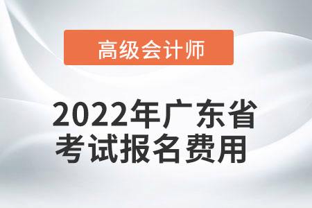 初级会计考试报名资格(初级会计报名资格条件)