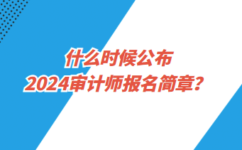 初级会计师考试报名官网2024(初级会计师考试报名官网2024年)