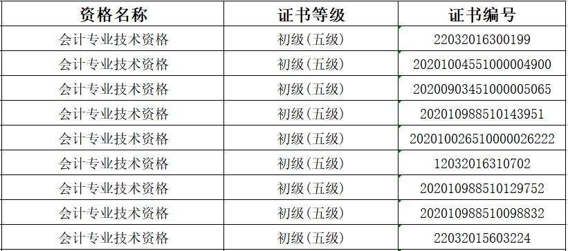 初级会计证考试内容及形式怎么写(初级会计证考试内容及形式怎么写好)