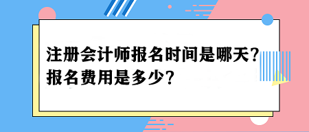 会计证2024年报名时间山东(山东会计资格证报名时间2020年)