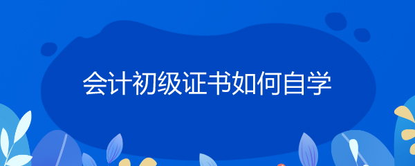 会计证自学教程(会计证自学教程有用吗)