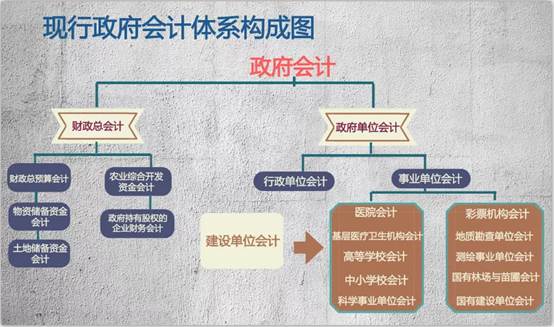 政府会计学什么(政府会计学什么专业)