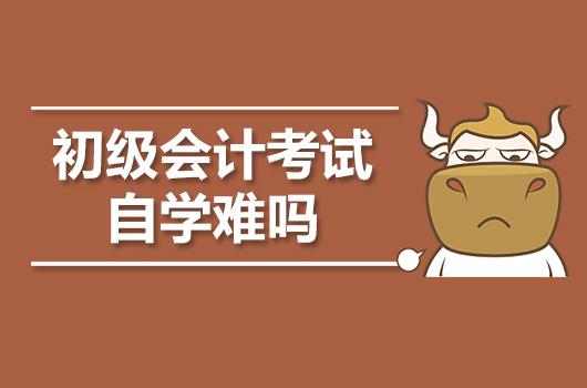 会计自学难吗(会计自学需要什么书)