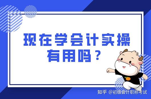 能自学会计吗知乎(自学会计能拿证书吗)